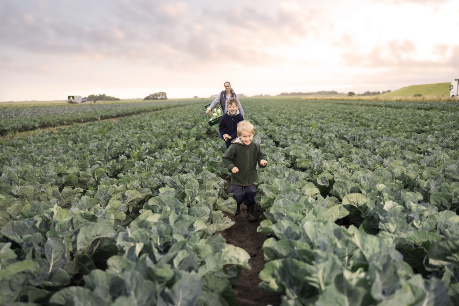 Staffens Gemüsegarten Dithmarschen Bioprodukte Naturkost Spaß