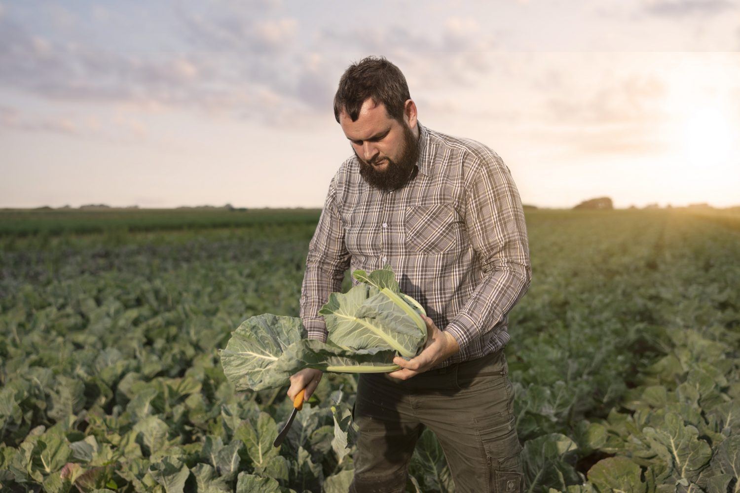 Staffens Gemüsegarten Dithmarschen Bioprodukte Naturkost Qualitätskontrolle