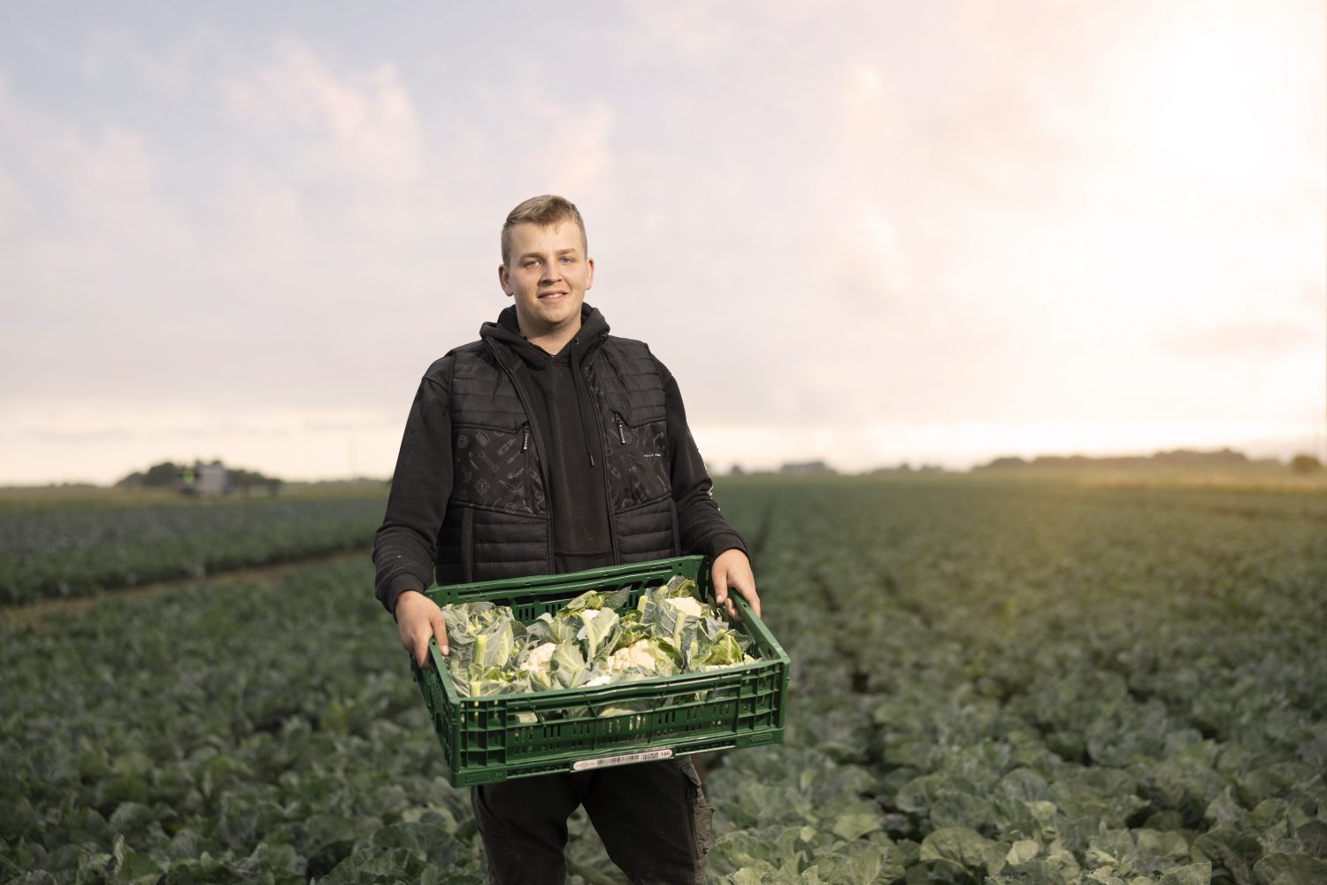 Staffens Gemüsegarten Dithmarschen Bioprodukte Naturkost Ernte