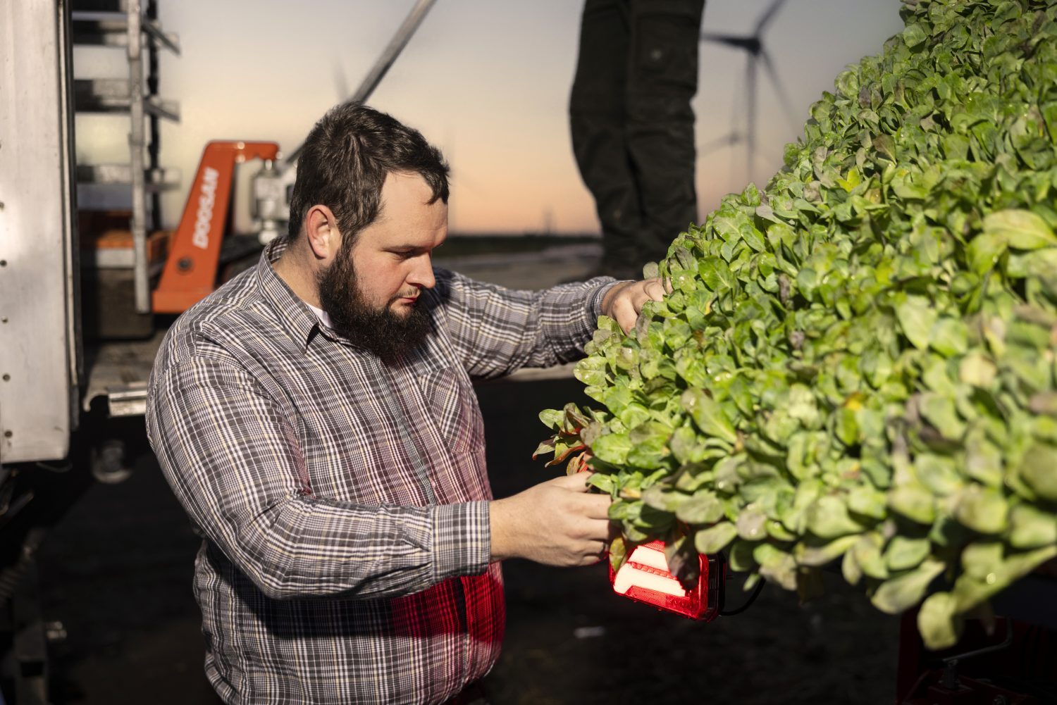 Staffens Gemüsegarten Dithmarschen Bioprodukte Naturkost Bioland